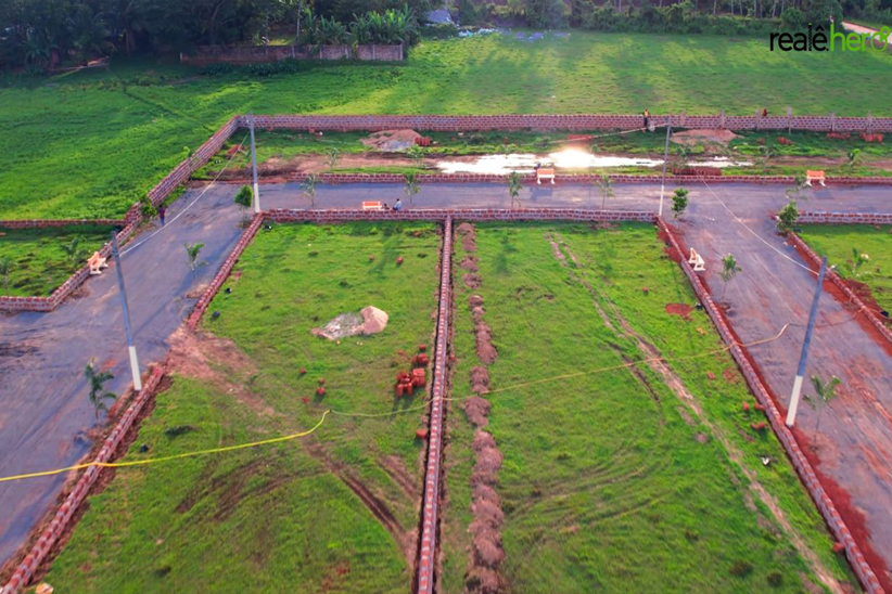 Unique and Affordable